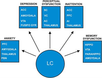 Locus Coeruleus Malfunction Is Linked to Psychopathology in Prodromal Dementia With Lewy Bodies